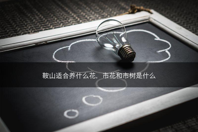 鞍山适合养什么花，市花和市树是什么(图1)