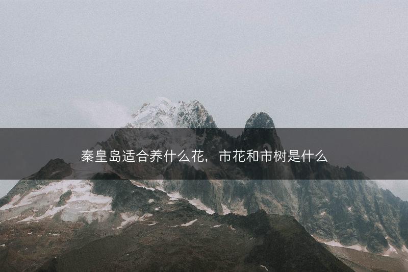 秦皇岛适合养什么花,市花和市树是什么(图1) 秦皇岛适合养什么花,市花和市树是什么(图1)