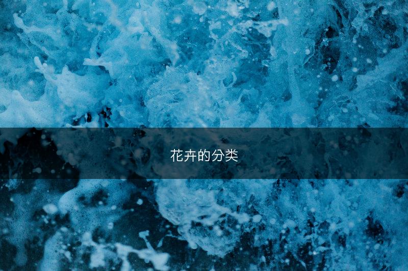 花卉的分类(图1)