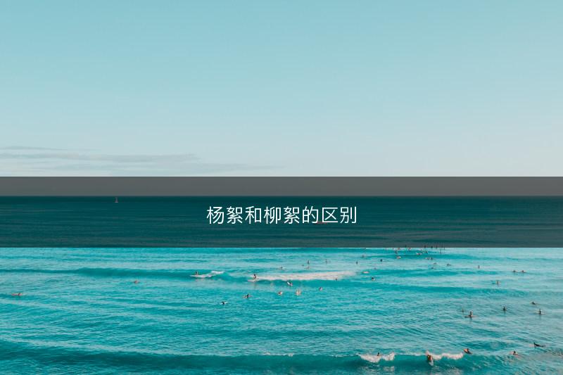 杨絮和柳絮的区别(图1)