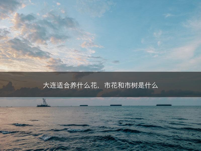 大连适合养什么花，市花和市树是什么(图1)