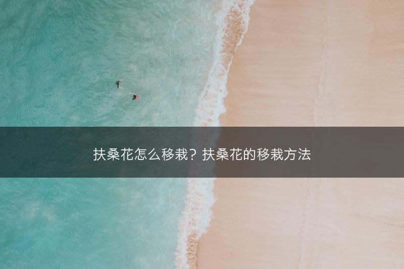 扶桑花怎么移栽?扶桑花的移栽方法(图1) 扶桑花怎么移栽?扶桑花的移栽方法(图1)
