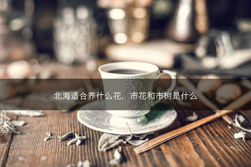 北海适合养什么花，市花和市树是什么(图1)