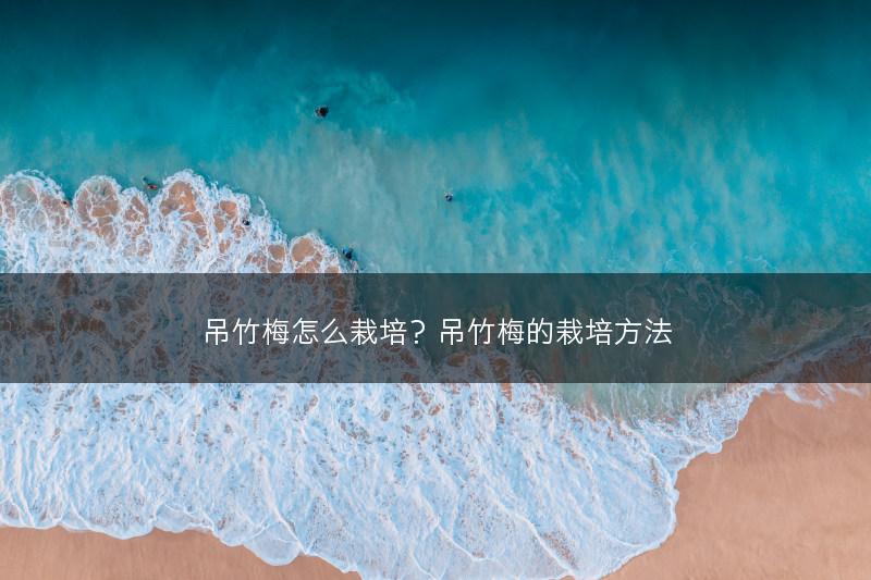 吊竹梅怎么栽培？吊竹梅的栽培方法(图1)
