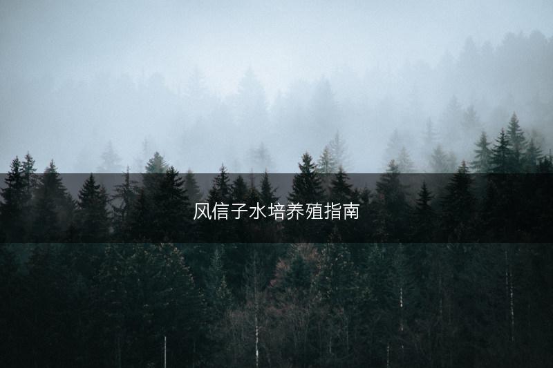 风信子水培养殖指南(图1)
