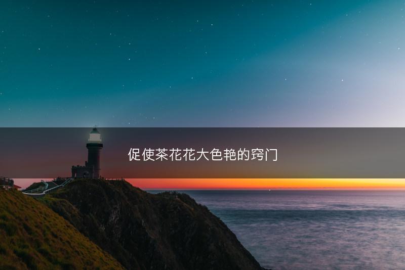 促使茶花花大色艳的窍门(图1)
