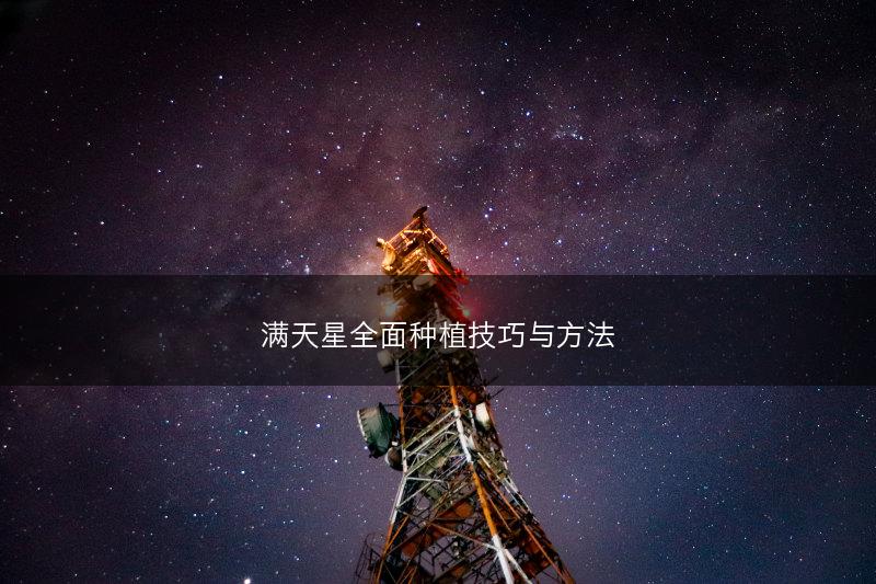 满天星全面种植技巧与方法(图1)