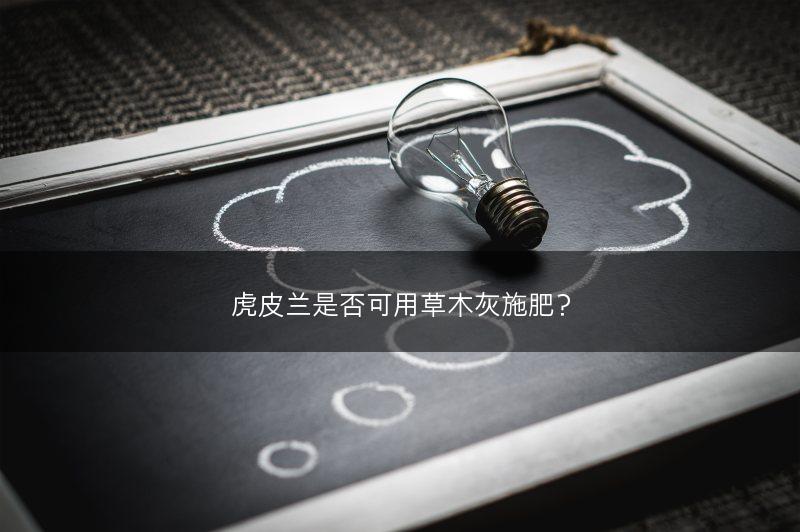 虎皮兰是否可用草木灰施肥？(图1)