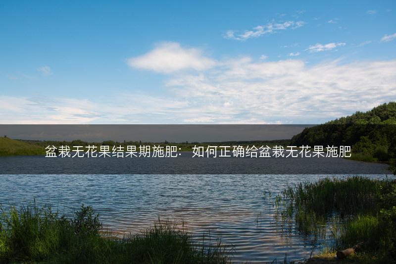 盆栽无花果结果期施肥：如何正确给盆栽无花果施肥(图1)