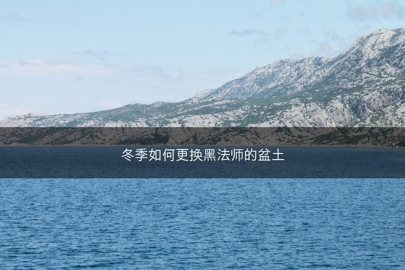 冬季如何更换黑法师的盆土(图1)
