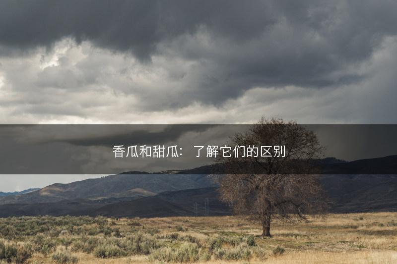香瓜和甜瓜：了解它们的区别(图1)