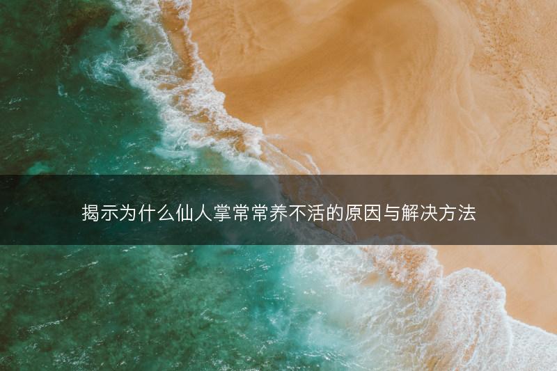 揭示为什么仙人掌常常养不活的原因与解决方法(图1)