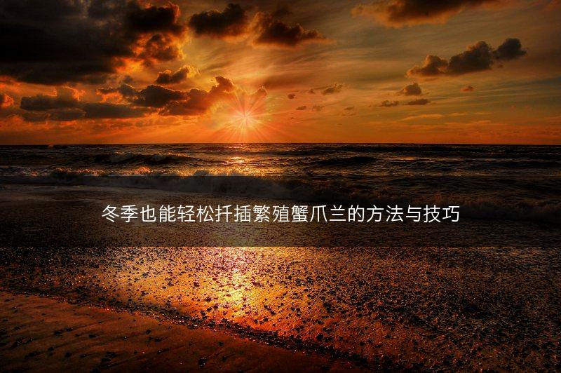 冬季也能轻松扦插繁殖蟹爪兰的方法与技巧(图1)