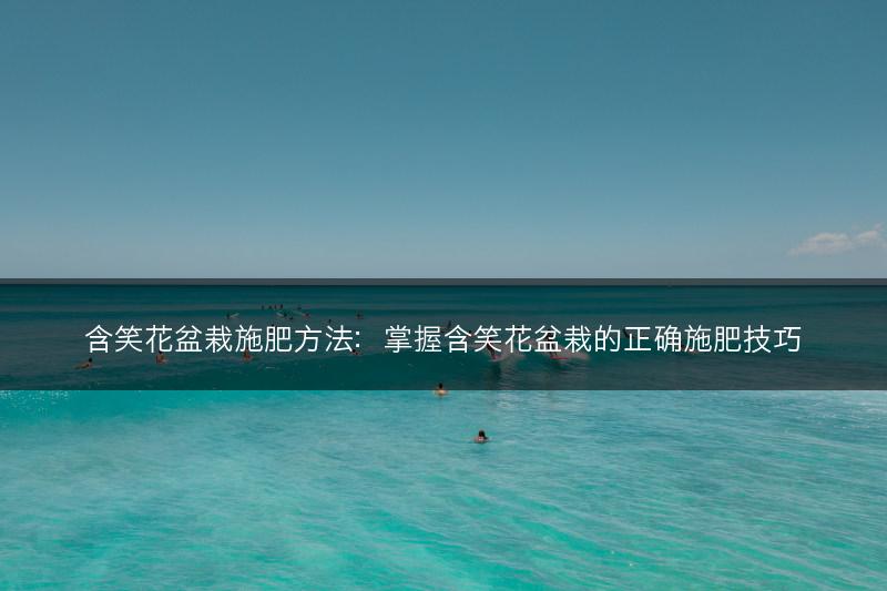 含笑花盆栽施肥方法：掌握含笑花盆栽的正确施肥技巧(图1)