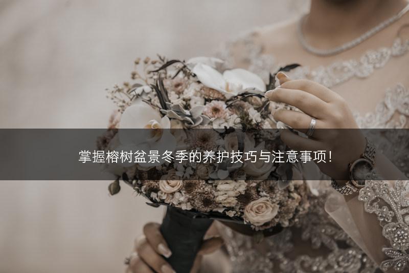 掌握榕树盆景冬季的养护技巧与注意事项！(图1)