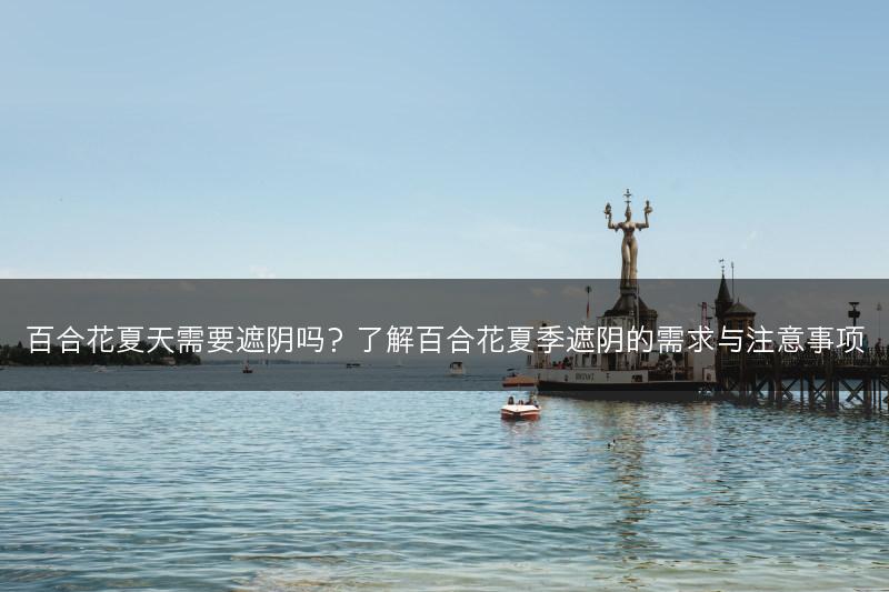 百合花夏天需要遮阴吗？了解百合花夏季遮阴的需求与注意事项(图1)