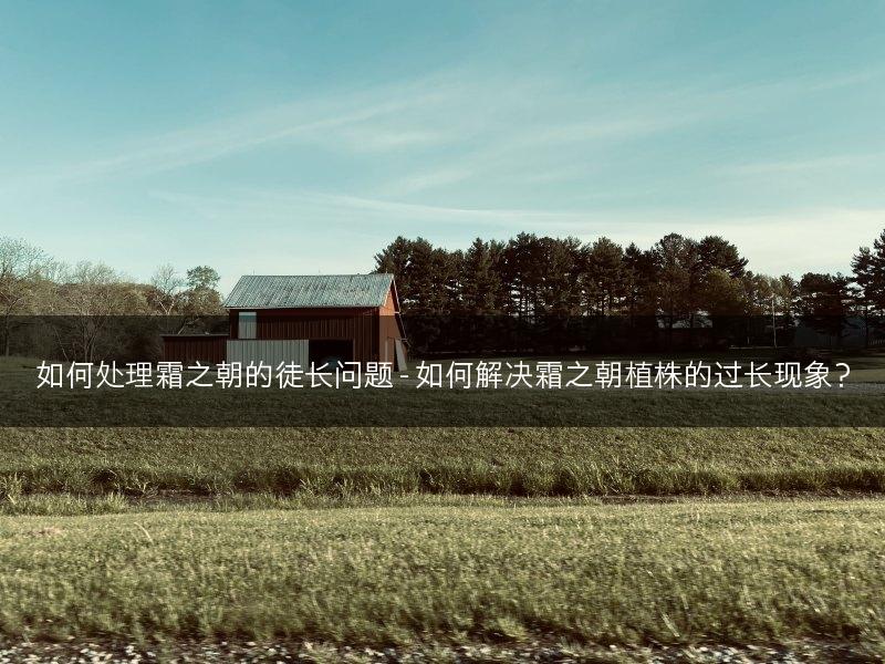 如何处理霜之朝的徒长问题 - 如何解决霜之朝植株的过长现象？(图1)