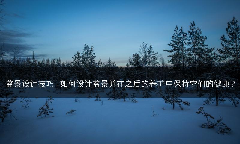 盆景设计技巧 - 如何设计盆景并在之后的养护中保持它们的健康？(图1)