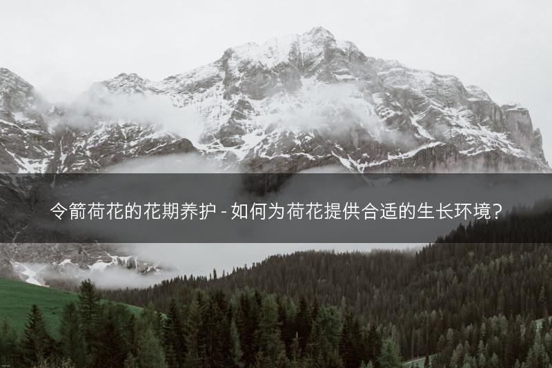 令箭荷花的花期养护 - 如何为荷花提供合适的生长环境？(图1)