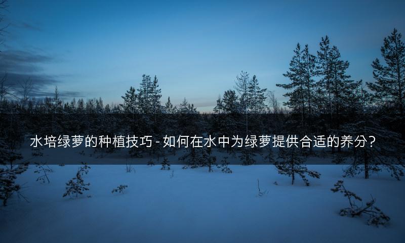 水培绿萝的种植技巧 - 如何在水中为绿萝提供合适的养分？(图1)