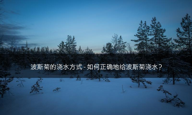 波斯菊的浇水方式 - 如何正确地给波斯菊浇水？(图1)