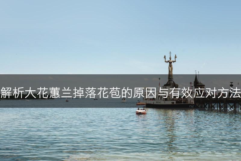 解析大花蕙兰掉落花苞的原因与有效应对方法(图1)