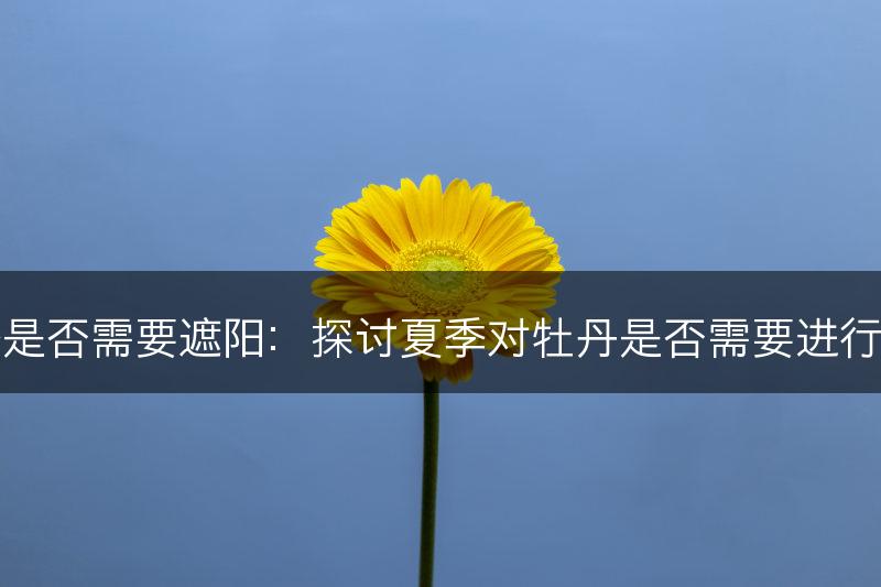牡丹夏季是否需要遮阳：探讨夏季对牡丹是否需要进行遮阳处理(图1)