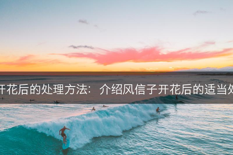 风信子开花后的处理方法：介绍风信子开花后的适当处理方法(图1)