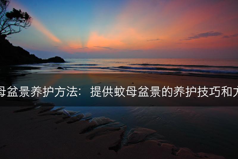 蚊母盆景养护方法：提供蚊母盆景的养护技巧和方法(图1)