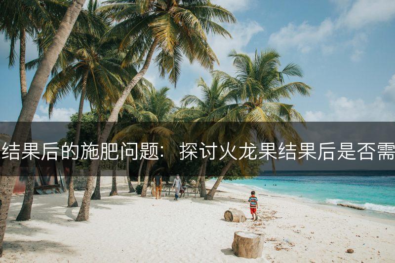 火龙果结果后的施肥问题：探讨火龙果结果后是否需要施肥(图1)