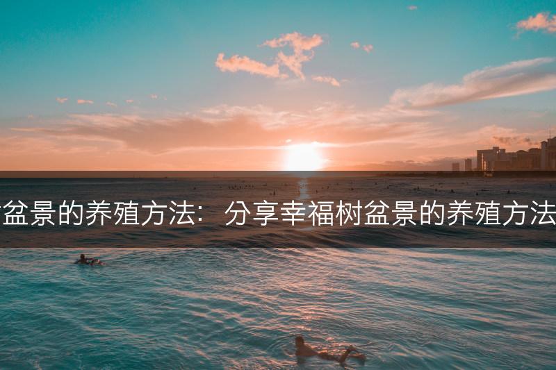 幸福树盆景的养殖方法：分享幸福树盆景的养殖方法和技巧(图1)