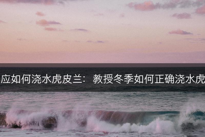 冬季应如何浇水虎皮兰：教授冬季如何正确浇水虎皮兰(图1)