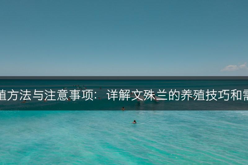 文殊兰的养殖方法与注意事项：详解文殊兰的养殖技巧和需注意的事项(图1)