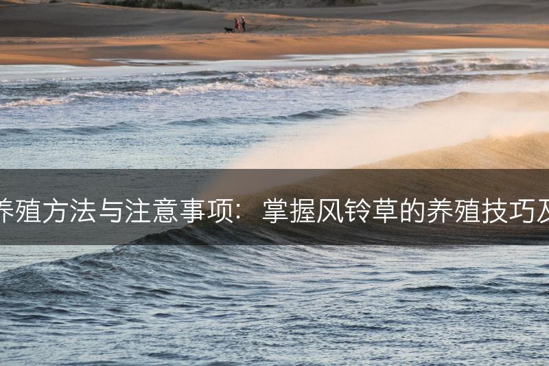 风铃草的养殖方法与注意事项：掌握风铃草的养殖技巧及注意事项(图1)