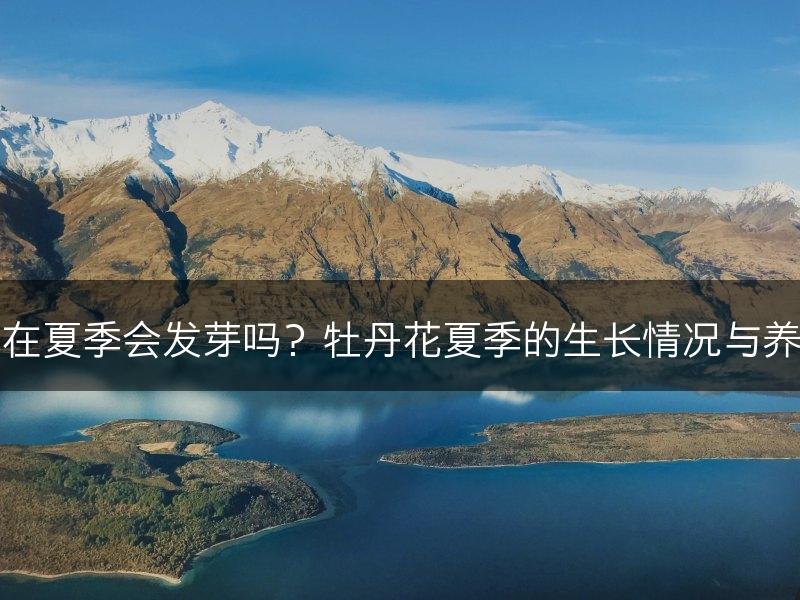 牡丹花在夏季会发芽吗？牡丹花夏季的生长情况与养护要点(图1)