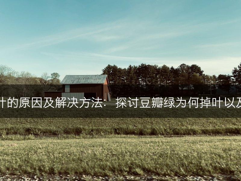 豆瓣绿掉叶的原因及解决方法：探讨豆瓣绿为何掉叶以及如何应对(图1)