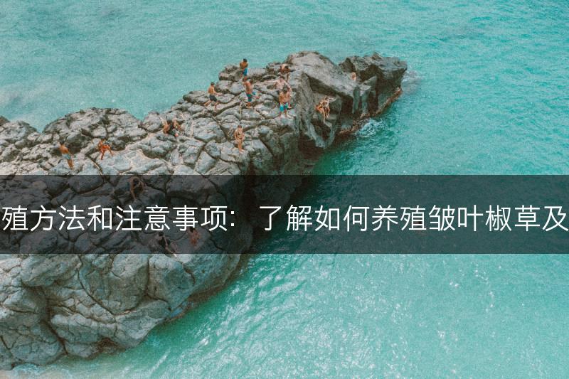 皱叶椒草的养殖方法和注意事项：了解如何养殖皱叶椒草及需注意的事项(图1)
