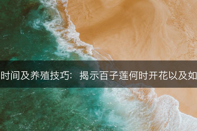 百子莲开花时间及养殖技巧：揭示百子莲何时开花以及如何正确养殖(图1)
