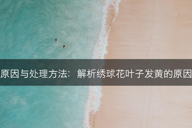 绣球花叶子发黄原因与处理方法：解析绣球花叶子发黄的原因及相应处理方式(图1)