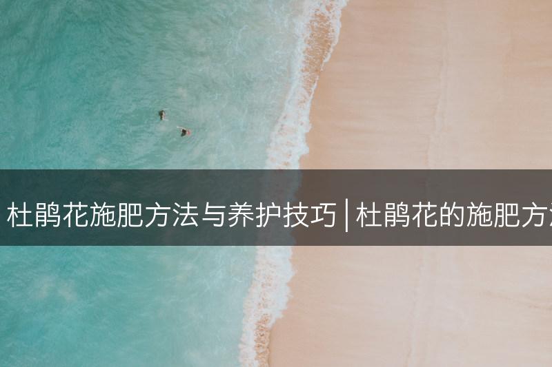 杜鹃花怎么施肥，杜鹃花施肥方法与养护技巧 | 杜鹃花的施肥方法与养护技巧分享(图1)