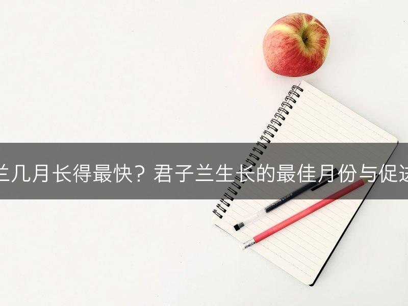 君子兰几月长得最快？君子兰生长的最佳月份与促进方法(图1)