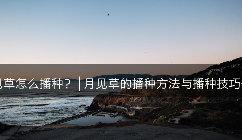 月见草怎么播种？ | 月见草的播种方法与播种技巧分享(图1)