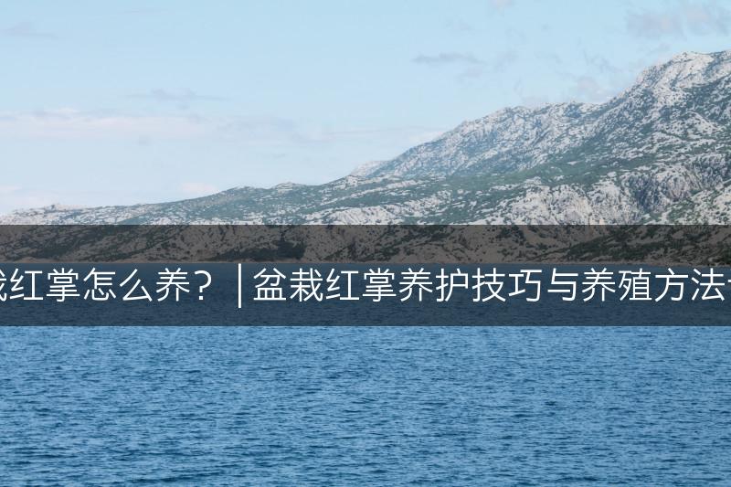 盆栽红掌怎么养？ | 盆栽红掌养护技巧与养殖方法详解(图1)