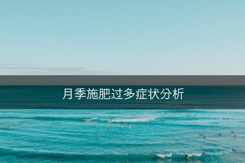月季施肥过多症状分析(图1)