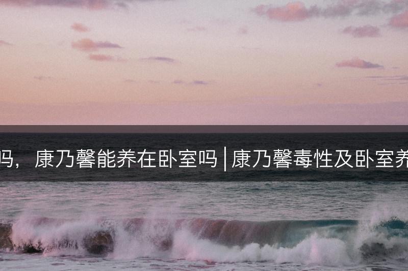 康乃馨有毒吗，康乃馨能养在卧室吗 | 康乃馨毒性及卧室养护注意事项(图1)