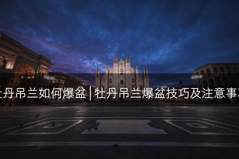 牡丹吊兰如何爆盆 | 牡丹吊兰爆盆技巧及注意事项(图1)