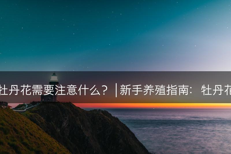 牡丹花怎么养？新手养牡丹花需要注意什么？ | 新手养殖指南：牡丹花的养护方法及注意事项(图1)