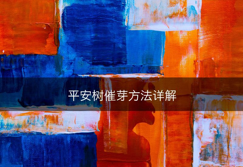 平安树催芽方法详解(图1)