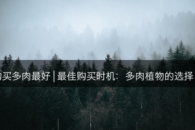 什么时候购买多肉最好 | 最佳购买时机：多肉植物的选择与注意事项(图1)