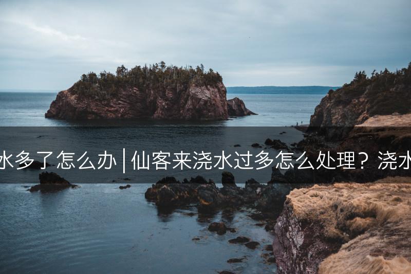 仙客来浇水多了怎么办 | 仙客来浇水过多怎么处理？浇水注意事项(图1)